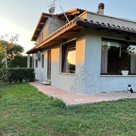 Myosotyss Apartment Zagarolo Екстериор снимка